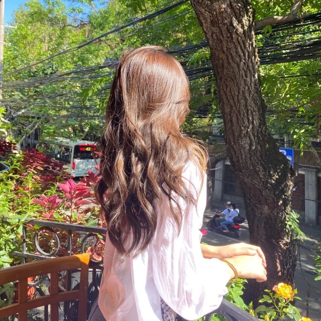 风临樱花开